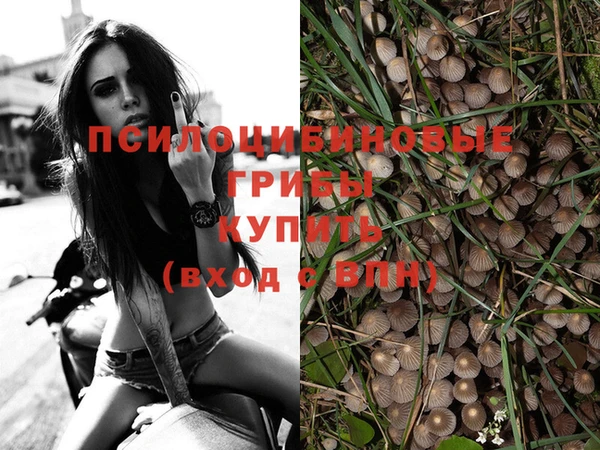 ПСИЛОЦИБИНОВЫЕ ГРИБЫ Абаза