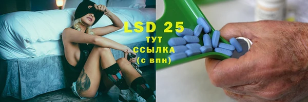 ПСИЛОЦИБИНОВЫЕ ГРИБЫ Абаза