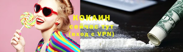 индика Абинск