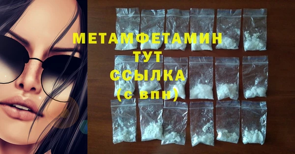 ПСИЛОЦИБИНОВЫЕ ГРИБЫ Абаза