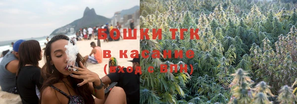 индика Абинск