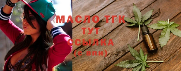 индика Абинск