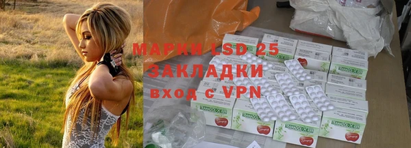 индика Абинск