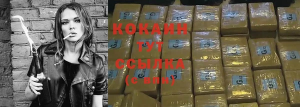 индика Абинск