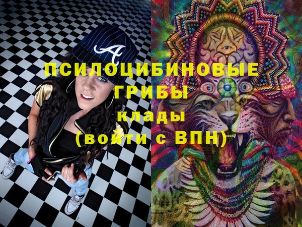 ПСИЛОЦИБИНОВЫЕ ГРИБЫ Абаза