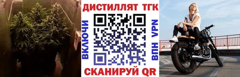 ТГК Wax Кингисепп