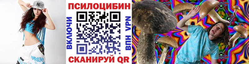 Псилоцибиновые грибы ЛСД Кингисепп