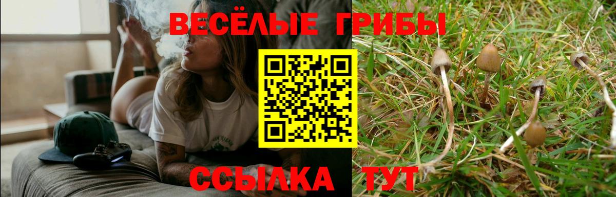 Галлюциногенные грибы Psilocybine cubensis  Вход с VPN  Кингисепп 